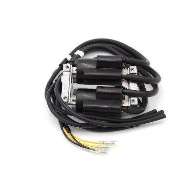 HONDA BOBINE ACCENSIONE COMPLETE DI SUPPORTO PER CB750 FOUR K0-K1-K2-K3-K4-K5-K6 30500-300-013 | Mamoto Ricambi