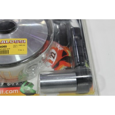 HONDA VARIATORE MULTIVAR MALOSSI PER SH125-150-PES125-150-@125-150-FES125-150 | Mamoto Ricambi