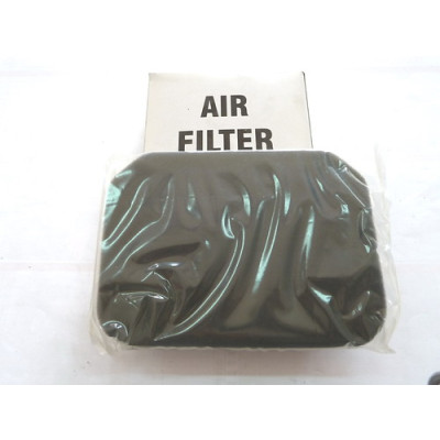 SUZUKI FILTRO ARIA BURGMAN 250-400 98-05 13780-14F01-000 | Mamoto Ricambi