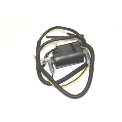 KAWASAKI BOBINA ACCENSIONE PER Z650-Z400B1-B2-B3-TWIN-Z750 TWIN | Mamoto Ricambi