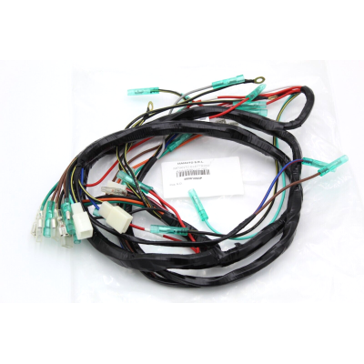 KAWASAKI IMPIANTO ELETTRICO PER H2-750 26001-058 | Mamoto Ricambi