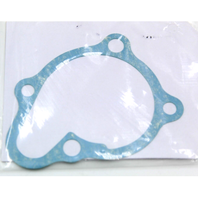 HONDA GUARNIZIONE POMPA ACQUA PER CN250-CH125 19229-KS4-690 | Mamoto Ricambi