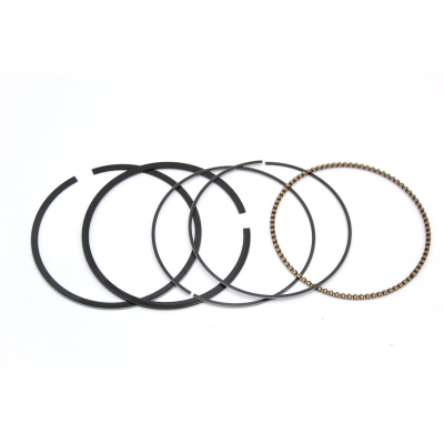 HONDA FASCE MOTORE STANDARD NX650-XL600R-XR650L 13011-MN9-305 | Mamoto Ricambi