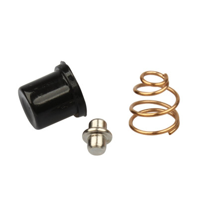 KAWASAKI PULSANTE START Z400B-Z650-Z750-Z900-Z1000 27010-1009 | Mamoto Ricambi