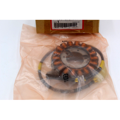 HONDA STATORE COMPLETO PER FES250 FORESIGHT 97-05 31120-KFG-008 | Mamoto Ricambi