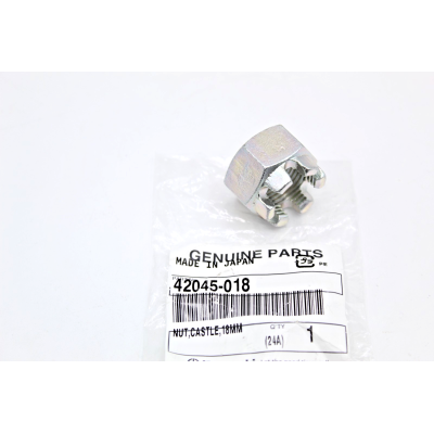 KAWASAKI DADO ASSE FORCELLONE Z900-Z1000-ZX1100-ZX600ZX750 42045-018 | Mamoto Ricambi