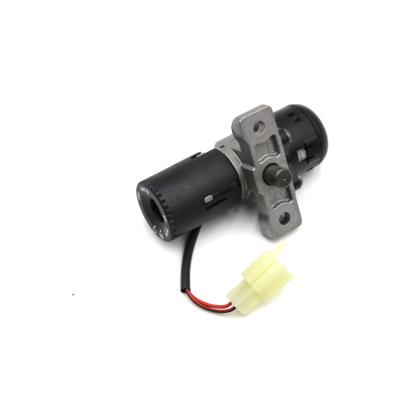 HONDA BLOCCO ACCENSIONE COMPLETO PER FES125-150-FES250-PEUGEOT SV250 | Mamoto Ricambi
