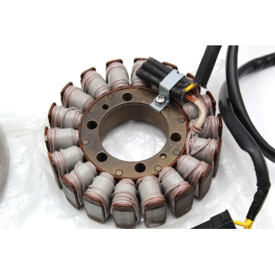 HONDA GRUPPO VOLANO MAGNETE PER CB600 HORNET 07-11 31120-MFG-D01 | Mamoto Ricambi