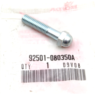 HONDA BULLONE ESTERNO PEDANA ANTERIORE SX-DX CBR900RR 98-99 92501-080350A | Mamoto Ricambi