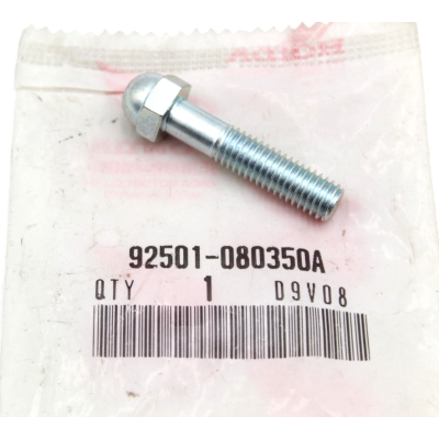 HONDA BULLONE ESTERNO PEDANA ANTERIORE SX-DX CBR900RR 98-99 92501-080350A | Mamoto Ricambi