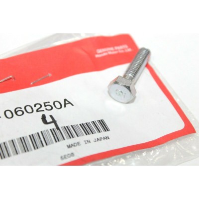 HONDA BULLONE ESAGONALE 6X25 PER VARI MODELLI HONDA 92101-060250A 92101-060140A | Mamoto Ricambi