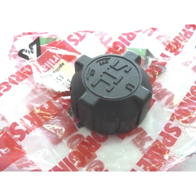APRILIA TAPPO RADIATORE AF1-125 8101912 | Mamoto Ricambi
