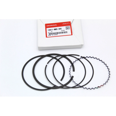 HONDA FASCE MOTORE STANDARD NX650-XL600R-XR650L 13011-MN9-305 | Mamoto Ricambi