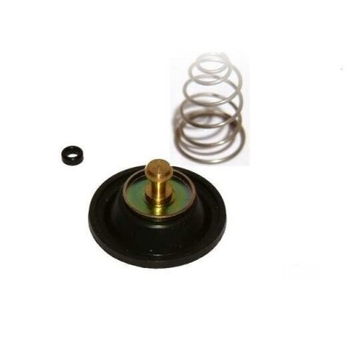HONDA MEMBRANA LATERALE CARBURATORE PER CB750F-79-CB750KZ 16048-425-671 | Mamoto Ricambi