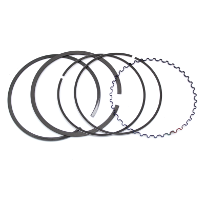 HONDA FASCE MOTORE STANDARD NX650-XL600R-XR650L 13011-MN9-305 | Mamoto Ricambi